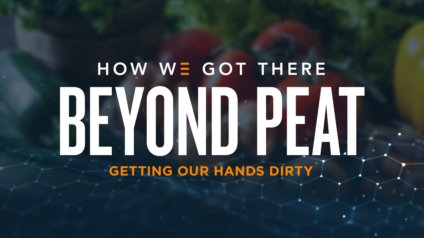 How We Got There | Beyond Peat | Getting Our Hands Dirty