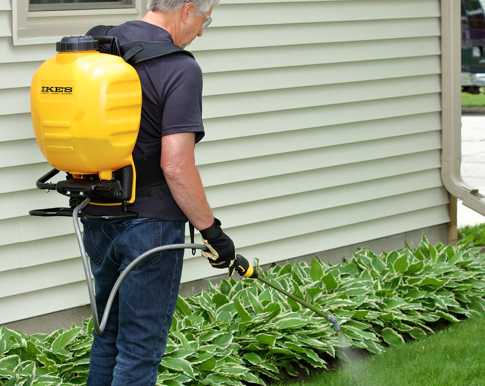 Man using a Ikes branded sprayer in his lawn.
