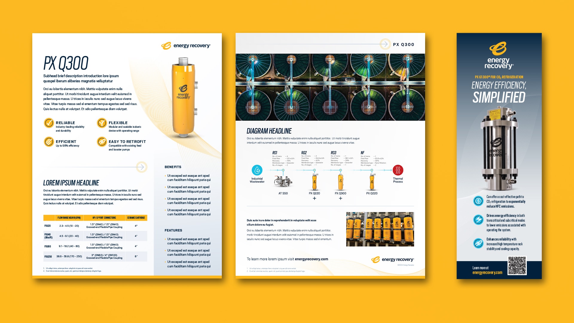 Examples of ERI's branding on a handout, website, and slim ad.